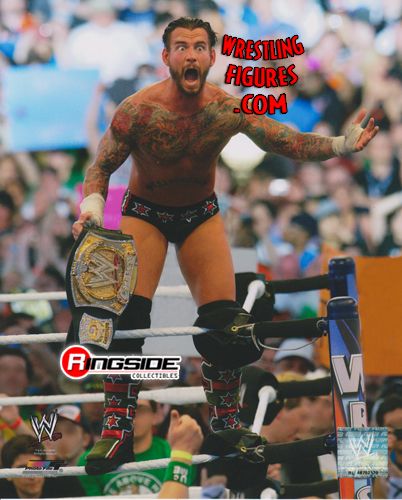 CM Punk - 8x10 Photo