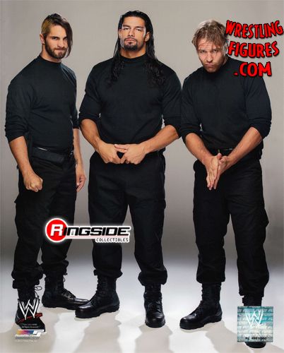The Shield - 8x10 Photo