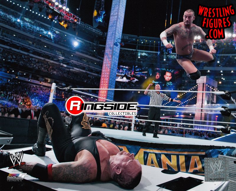 CM Punk - 8x10 Photo