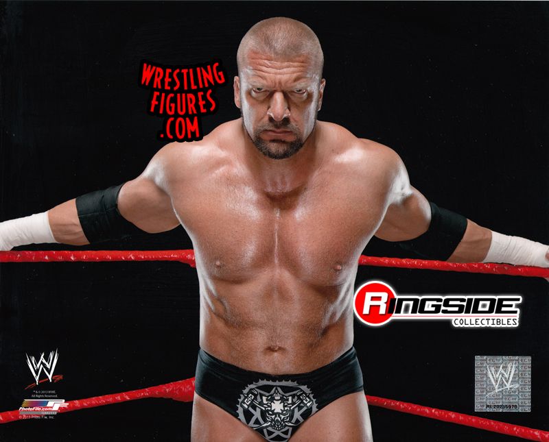 Triple H - 8x10 Photo (0248)