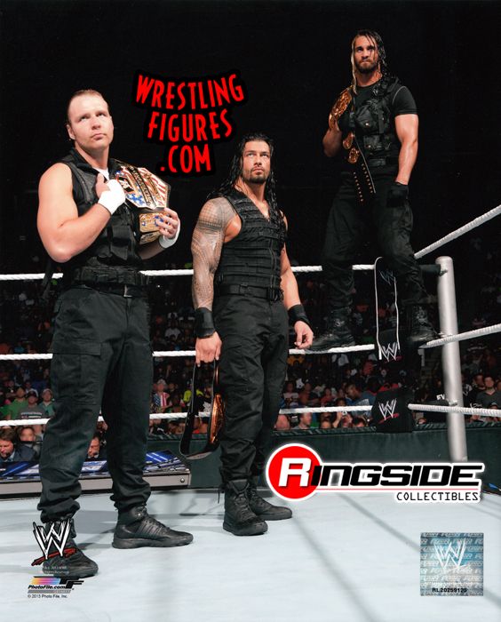 The Shield - 8x10 Photo