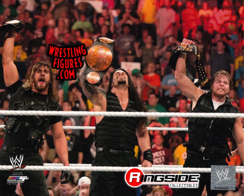 The Shield - 8x10 Photo